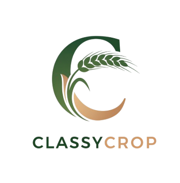 classy crops